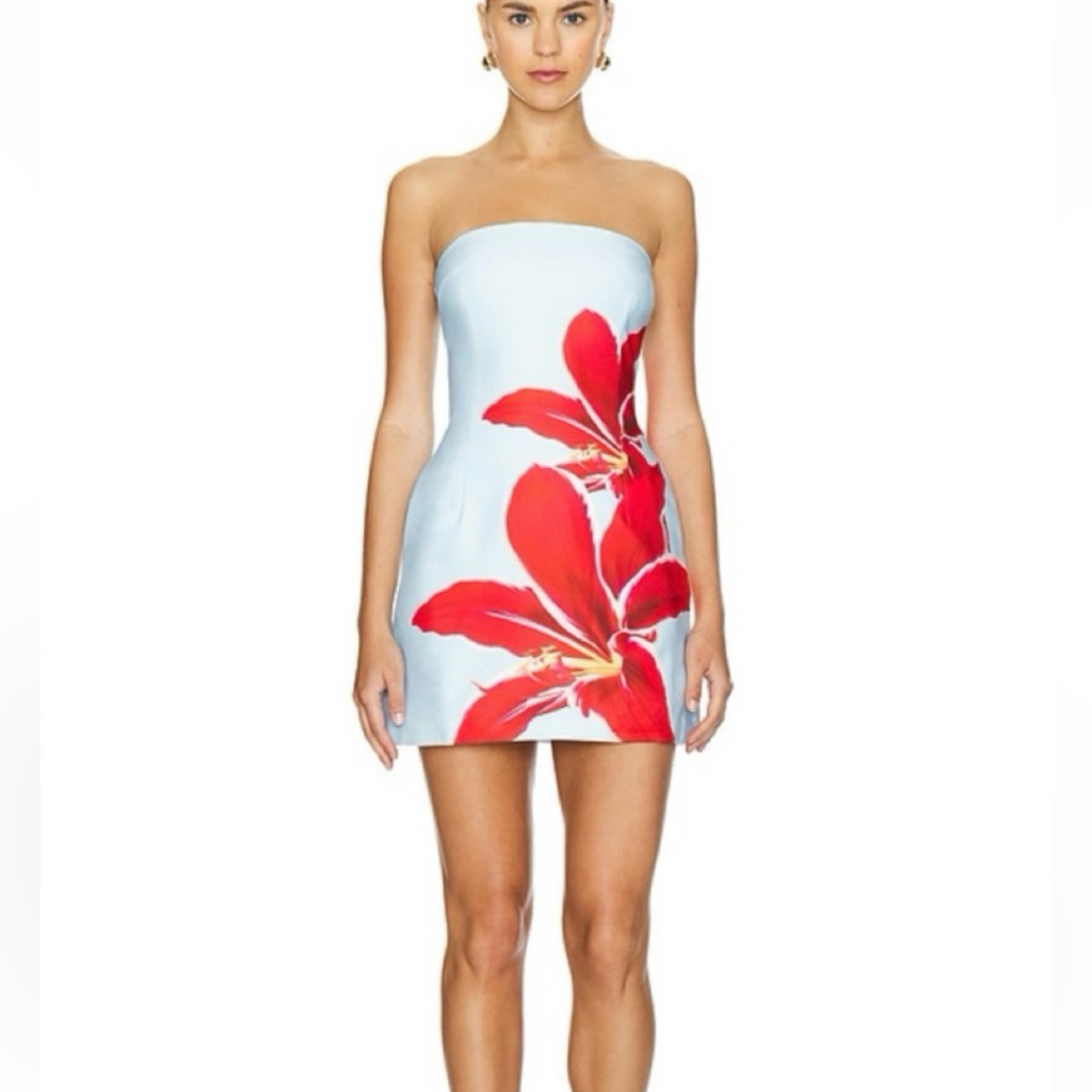 Runaway The Label Primrose Mini Dress